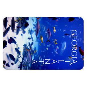 Imán Atlanta Georgia