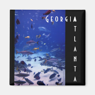 Imán Atlanta Georgia