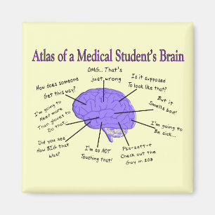 Imán Atlas de un cerebro #2 del estudiante de medicina