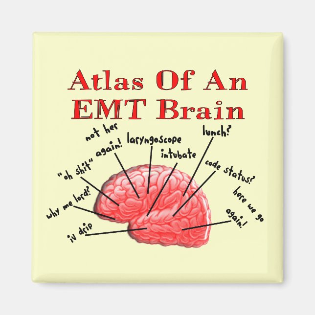 Imán Atlas De Un Cerebro De EMT (Frente)