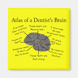 Imán Atlas del cerebro de un dentista