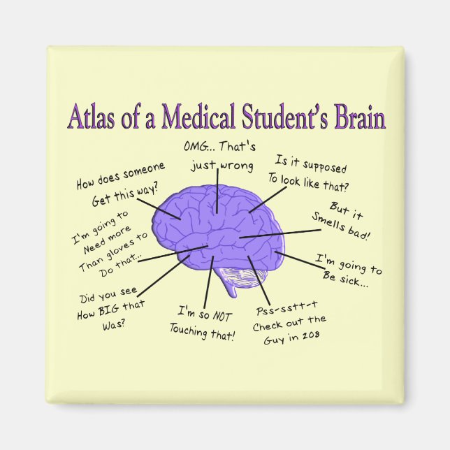 Imán Atlas del cerebro de un estudiante de medicina #2 (Frente)