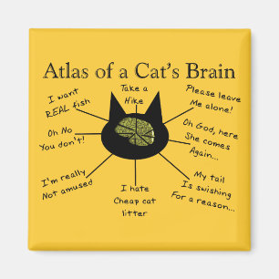 Imán Atlas del cerebro de un gato