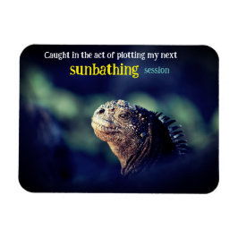 Imán Atrapada en el acto iguana marina