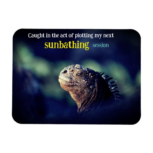 Imán Atrapada en el acto iguana marina (Horizontal)