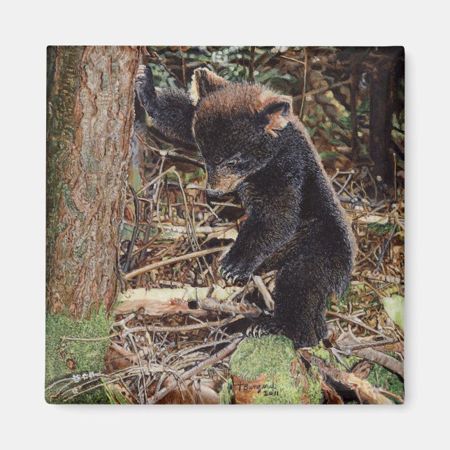 Imán Atropellado (Frente)