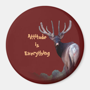 Imán Attitude is Everything