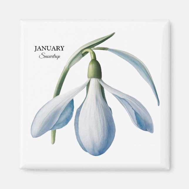 Imán Auge de Snowdrop en enero - Regalo personalizado (Frente)