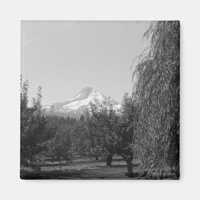 Imán August Mt Hood Magnet (Frente)