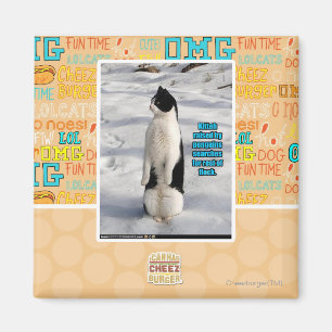 Imán Aumentado por los pingüinos