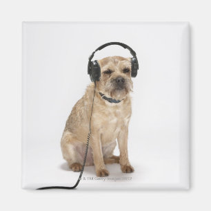 Imán Auriculares que llevan del pequeño perro