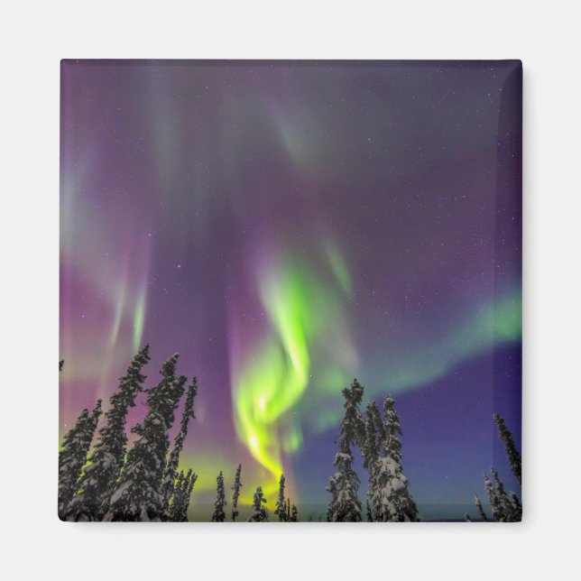 Imán Aurora Boreal | Fairbanks, Alaska (Frente)