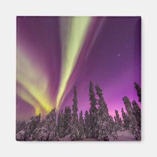 Imán Aurora Boreal Luces del Norte Fairbanks Alaska