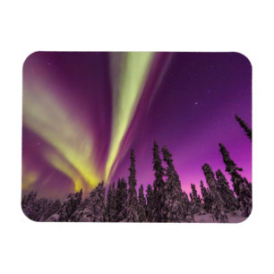 Imán Aurora Boreal Luces del Norte Fairbanks Alaska
