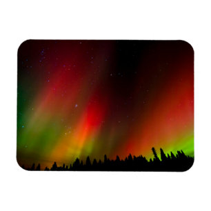Imán Aurora boreal y árboles