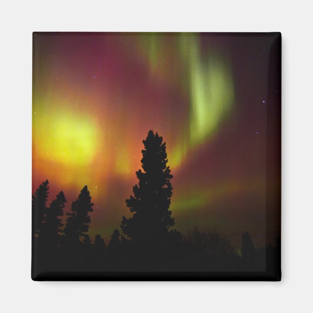 Imán Aurora boreal y árboles (Frente)