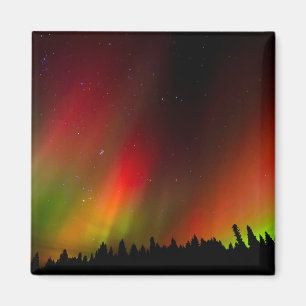 Imán Aurora Borealis and trees