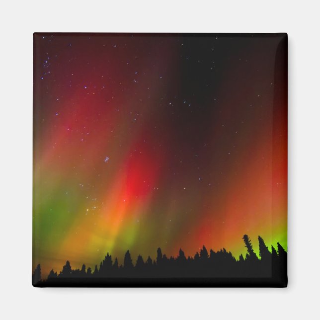 Imán Aurora Borealis and trees (Frente)