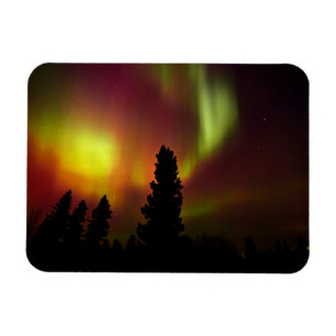 Imán Aurora Borealis y los árboles