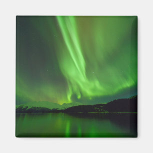 Imán Aurora eterna