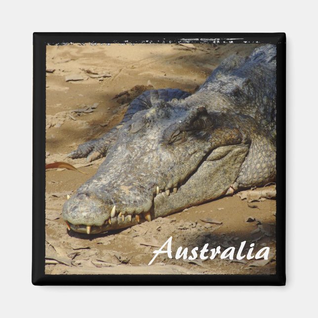 Imán Australia, cocodrilo, Bush (imán) (Frente)
