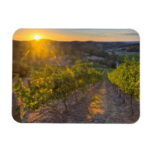 Imán Australia Meridional, Adelaide Hills, Summertown.