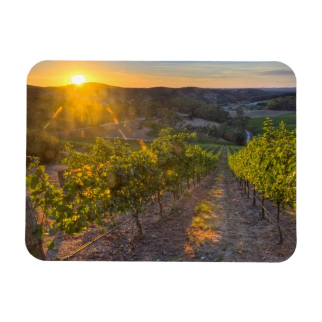 Imán Australia Meridional, Adelaide Hills, Summertown. (Horizontal)