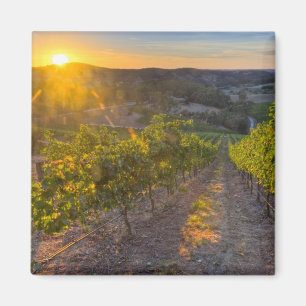 Imán Australia Meridional, Adelaide Hills, Summertown.