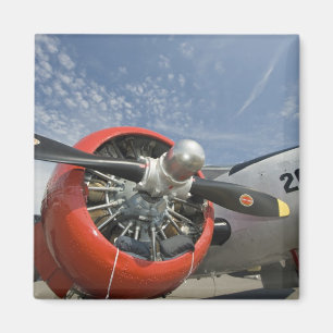 Imán Australia Occidental, Arlington, Arlington Fly-in,