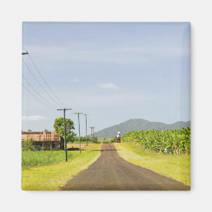 Imán Australia, Queensland, costa norte, Babinda.