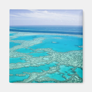 Imán Australia, Queensland, Whitsunday Coast, Great 3