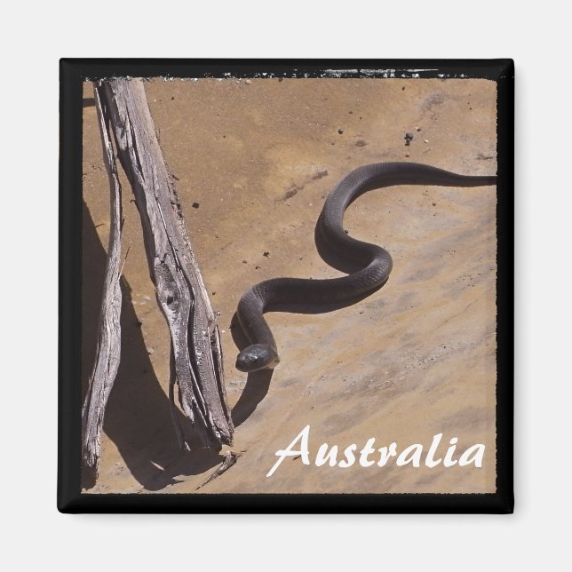 Imán Australia - Serpiente marrón, silvestre (imán) (Frente)