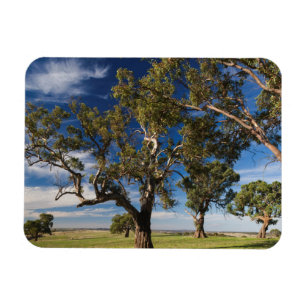 Imán Australia, Valle de Barossa, Mount Pleasant