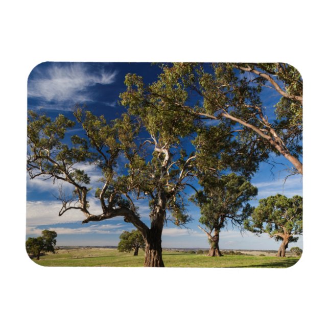 Imán Australia, Valle de Barossa, Mount Pleasant (Horizontal)