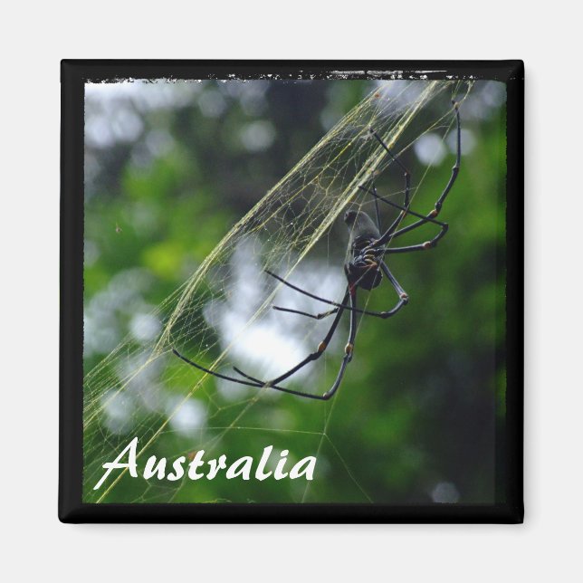 Imán Australia, Wilderness, Spider (imán) (Frente)