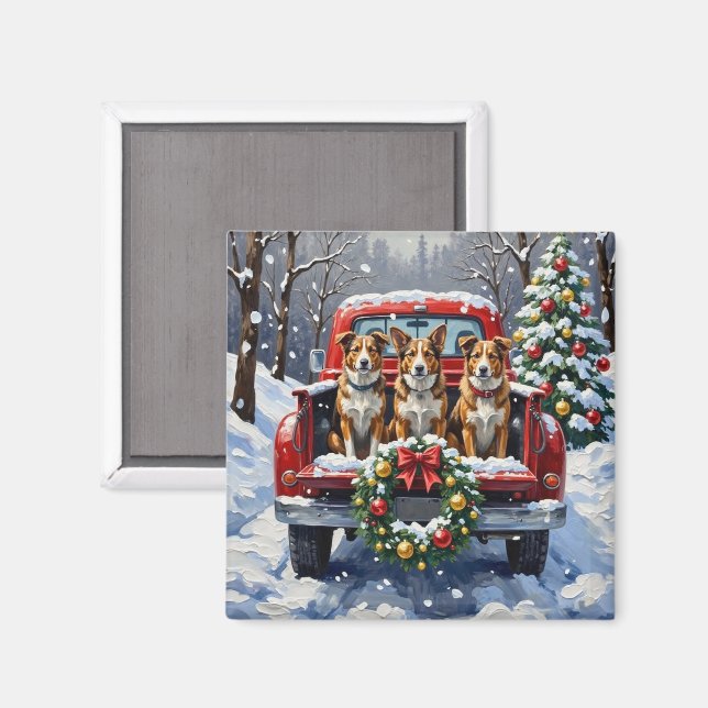 Imán Australian Cattle Dog Christmas Red Truck Holiday (Anverso/Reverso)