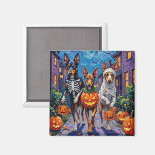 Imán Australian Kelpie Trick-or-Treating Halloween 