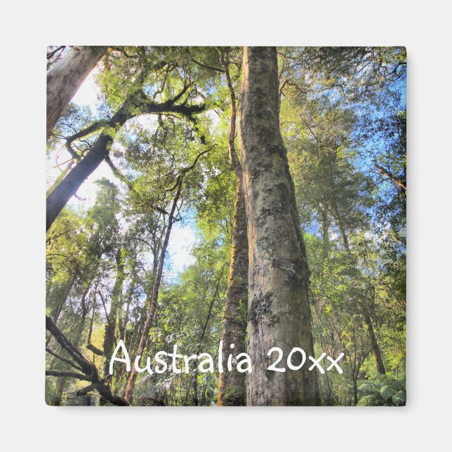 Imán Australian Rainforest Eucalyptus Gum Trees (Frente)