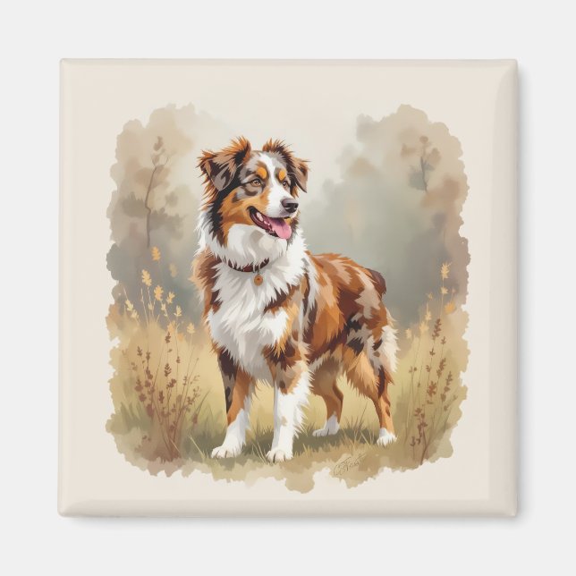 Imán Australian Shepherd Dog Red Merle Aussie (Frente)
