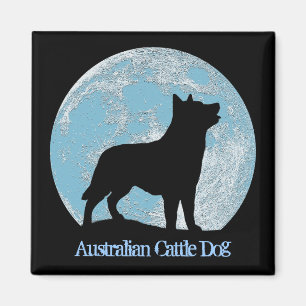 Imán australiano del perro del ganado