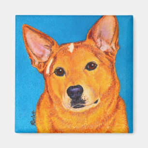 Imán australiano del perro del ganado - "rojo "
