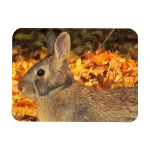 Imán Autumn Bunny
