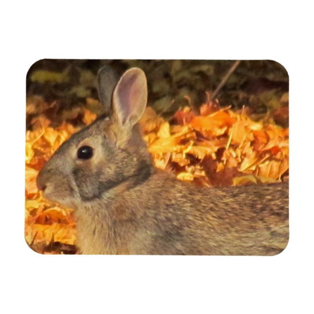 Imán Autumn Bunny (Horizontal)