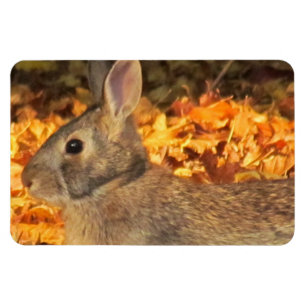 Imán Autumn Bunny