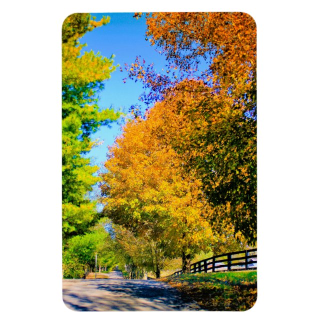 Imán Autumn Drive en el País (Vertical)