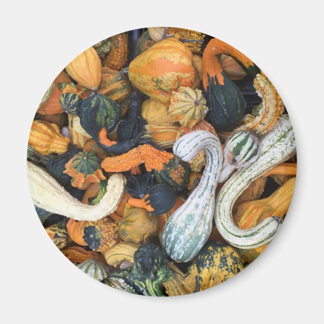 Imán Autumn Gourds (Frente)