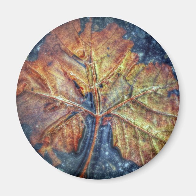 Imán Autumn Leaf Magnet (Frente)
