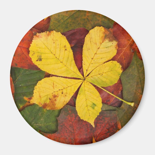 Imán Autumn Leaf Magnet (Frente)