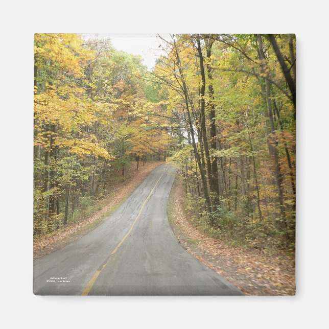 Imán Autumn Road Magnet (Frente)