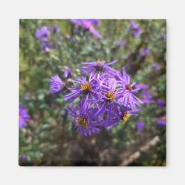 Imán Autumn's Purple Glow